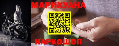 шишки Будённовск