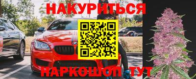 шишки Будённовск