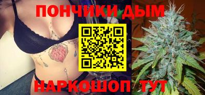 шишки Будённовск