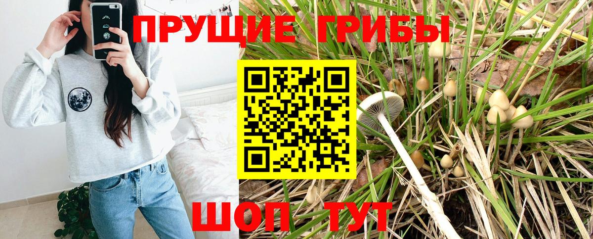 Псилоцибиновые грибы GOLDEN TEACHER Хасавюрт