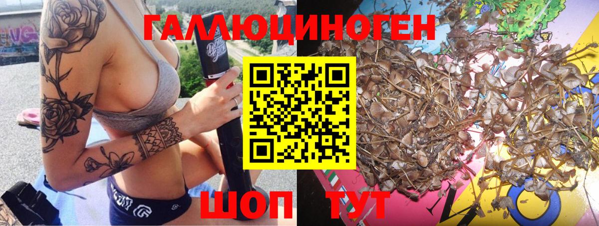 Псилоцибиновые грибы GOLDEN TEACHER  Вход с VPN  дарнет шоп  Псилоцибиновые грибы Magic Shrooms  Хасавюрт 