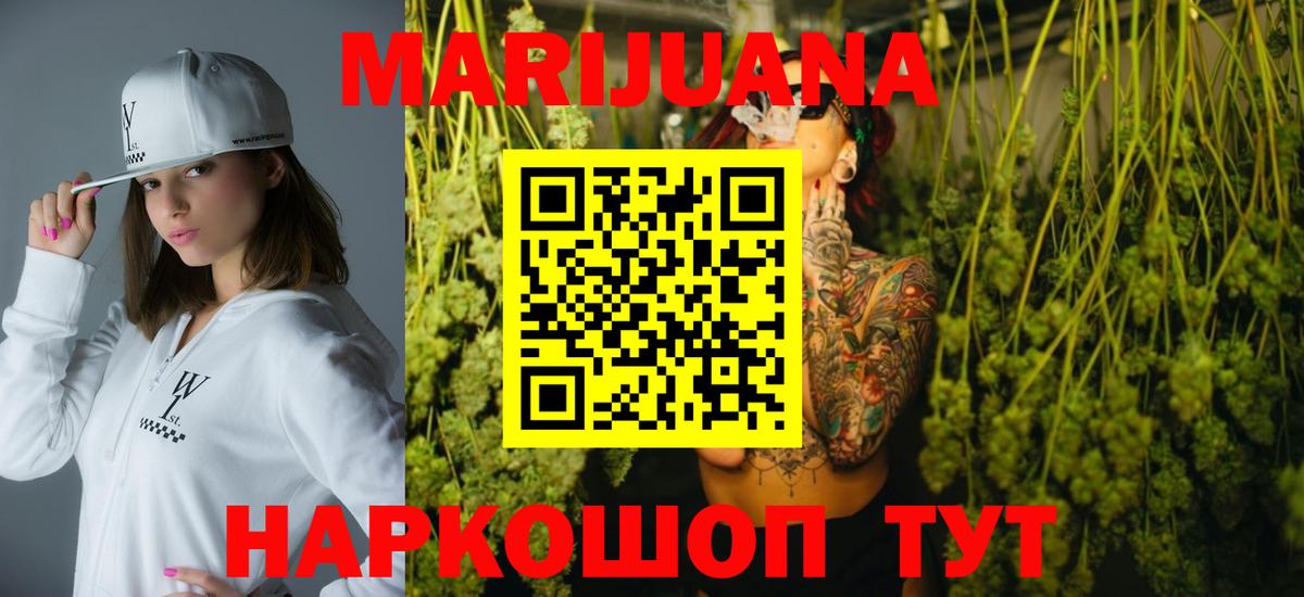Каннабис сатива Хасавюрт